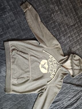 American Eagle Outfitters Light Gray Fleece Hoodie with Logo Patch